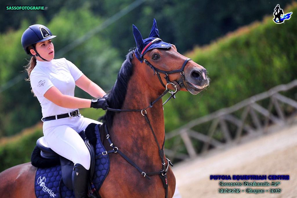 corsi di equitazione