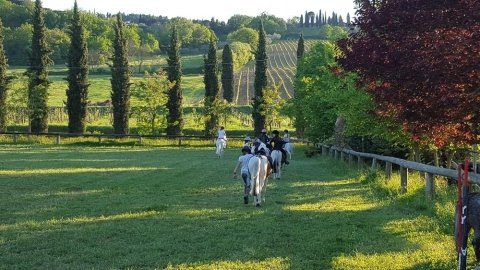 corsi di equitazione