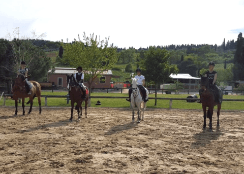 lezioni a cavallo