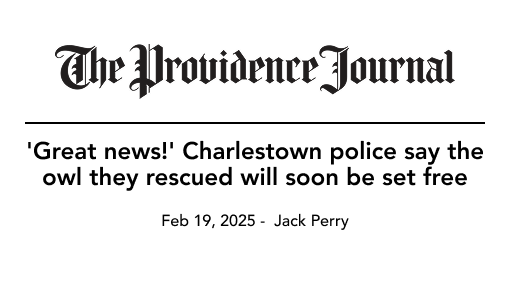 Newspaper headline: Charlestown police rescue owl, will release it.