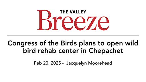 Headline from