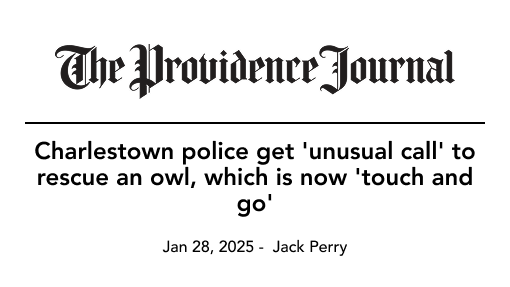 Newspaper headline: Charlestown police rescue owl, which is now touch and go. Published in The Providence Journal.