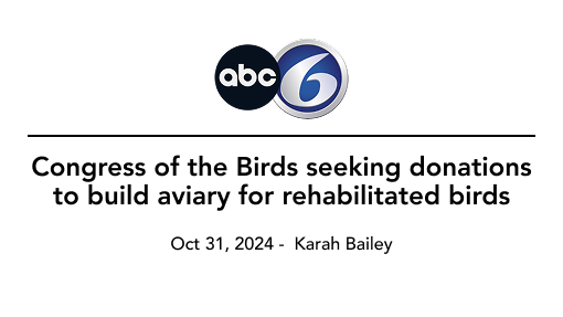 News graphic: ABC 6 logo.