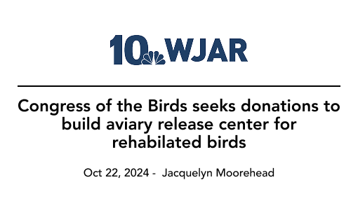 News graphic: 10 WJAR logo. Text reads: