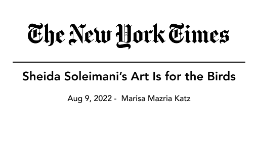 The New York Times logo with the headline,