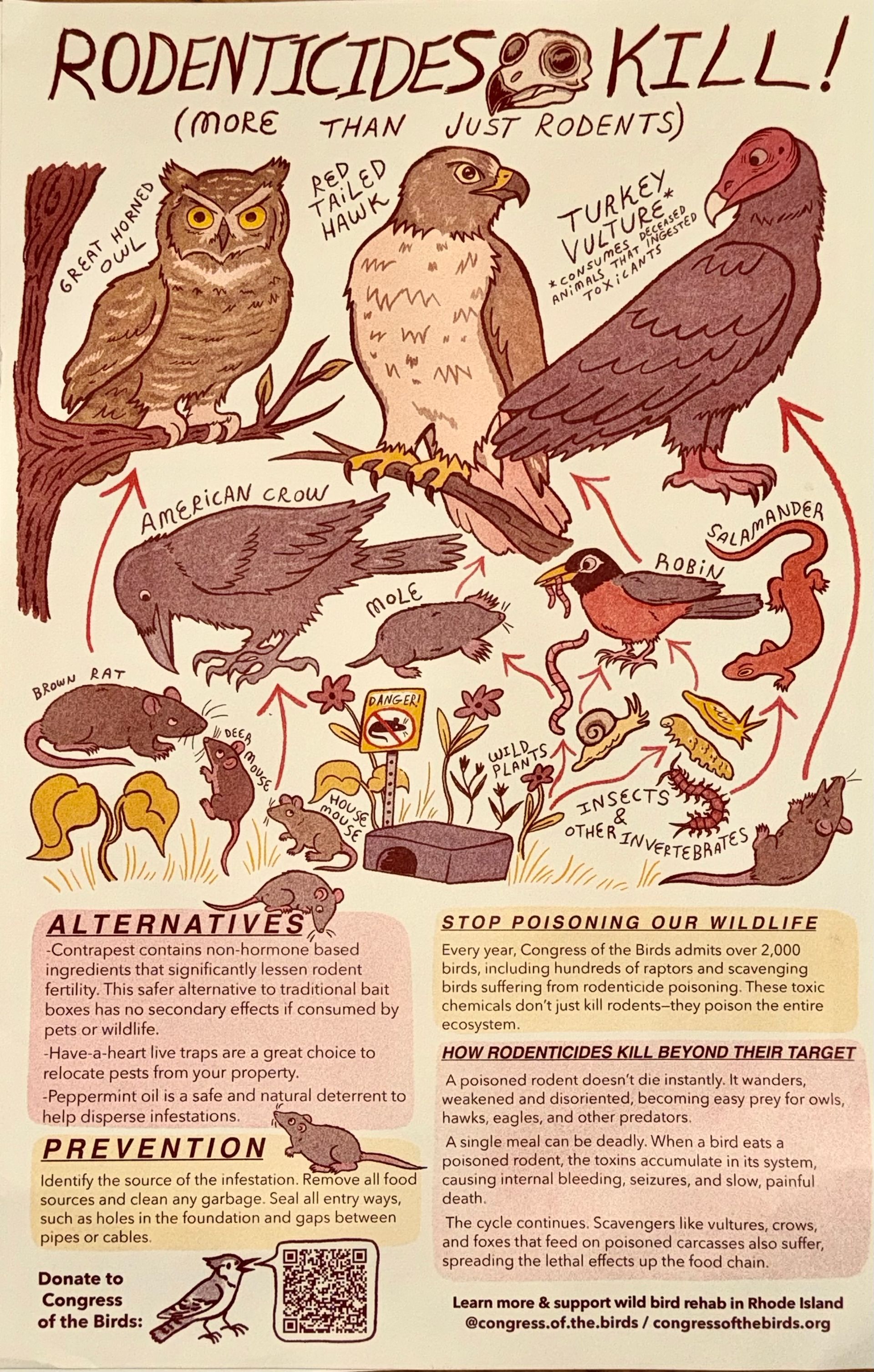 Rodenticides Kill Infographic