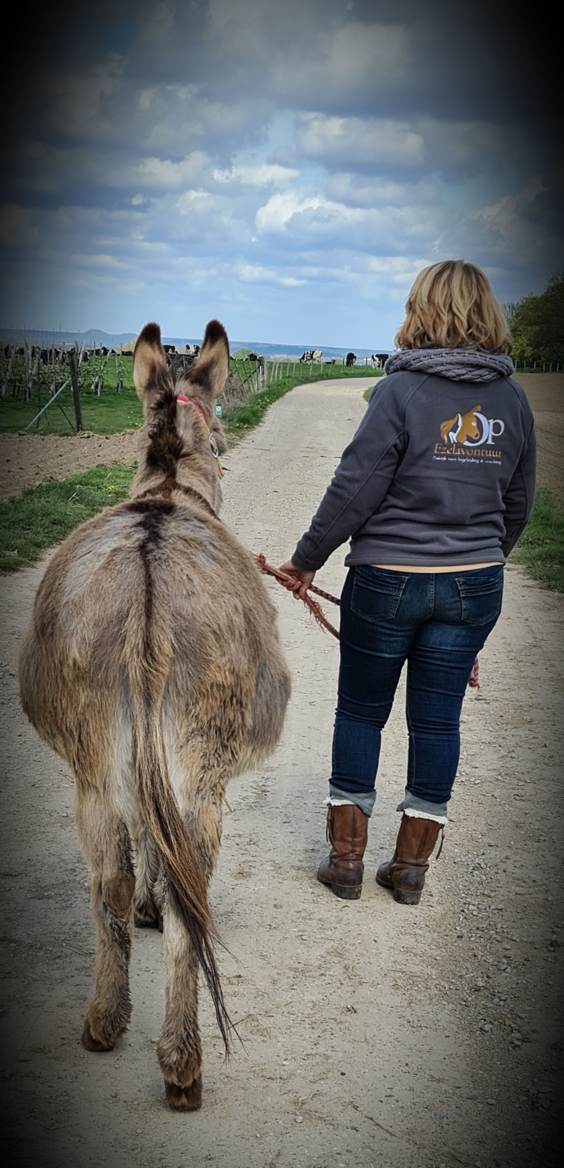 Een vrouw loopt met een ezel aangelijnd over een onverharde weg.
