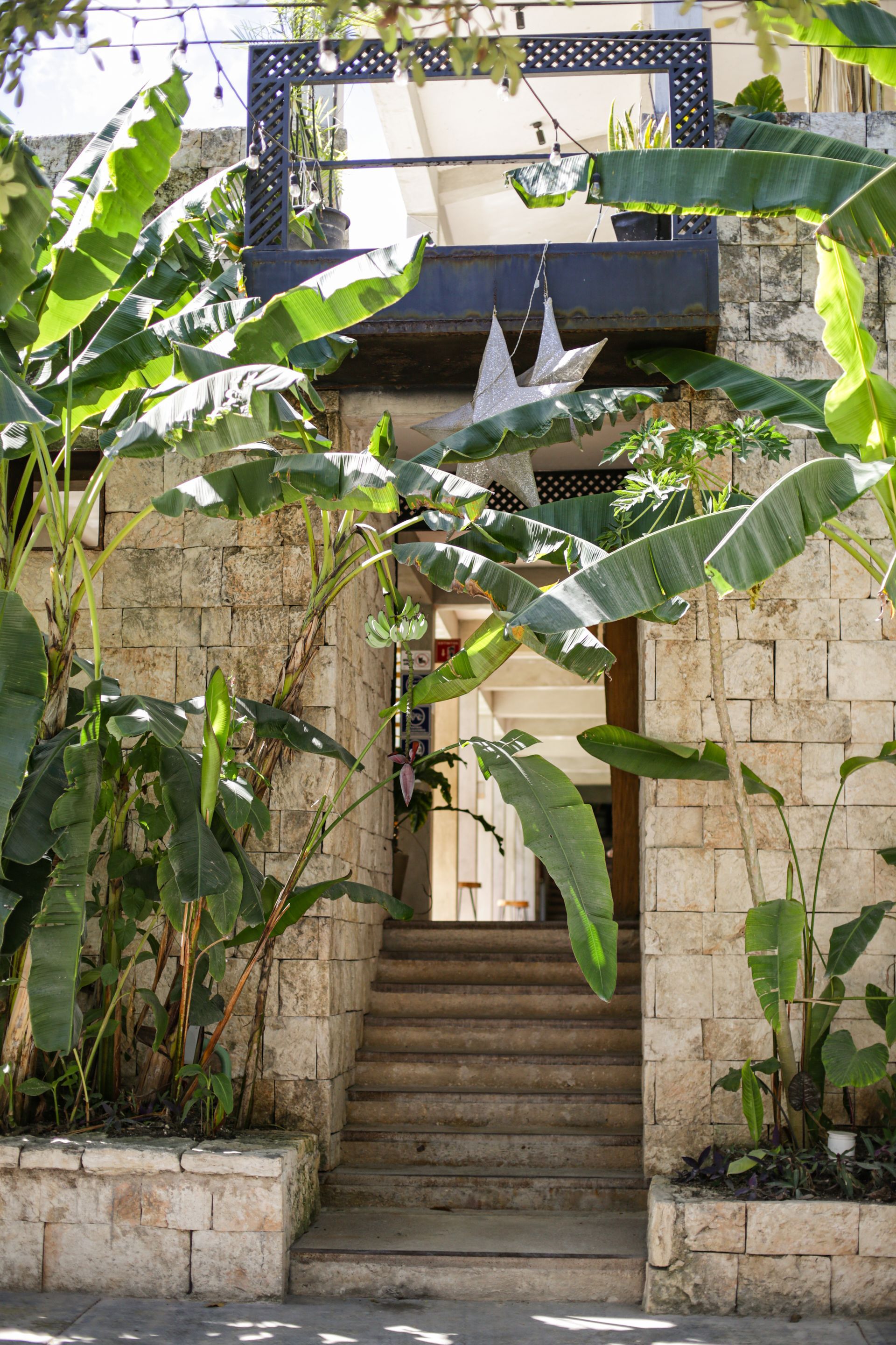 Entrada de piedra con escaleras, plantas de plátano y un balcón en el segundo piso.