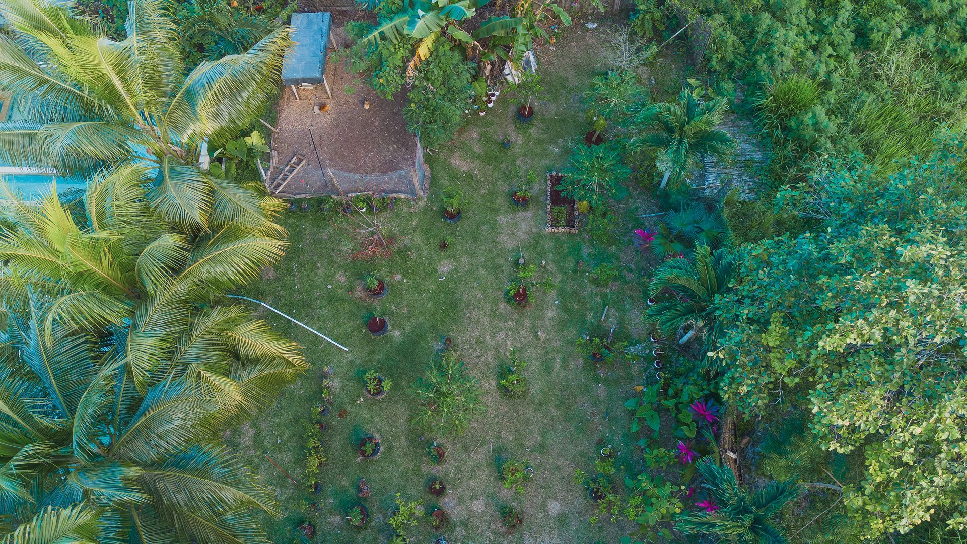 Vista aérea de una pequeña cabaña con techo de paja rodeada de exuberantes árboles verdes y follaje en un entorno tropical.