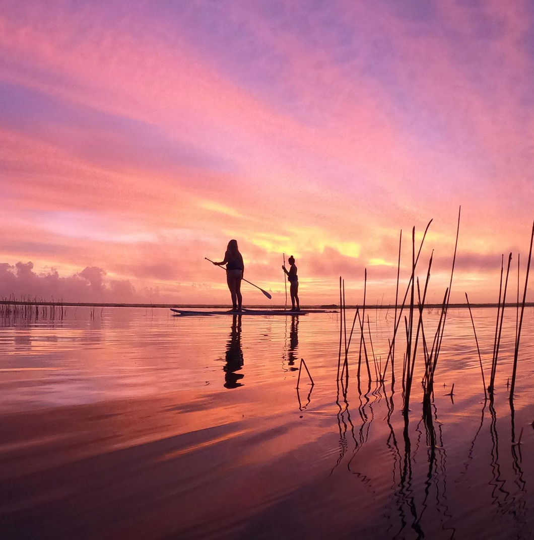 Dos personas practican paddleboard al atardecer en aguas tranquilas, con juncos en primer plano. El cielo resplandece de rosas y púrpuras.