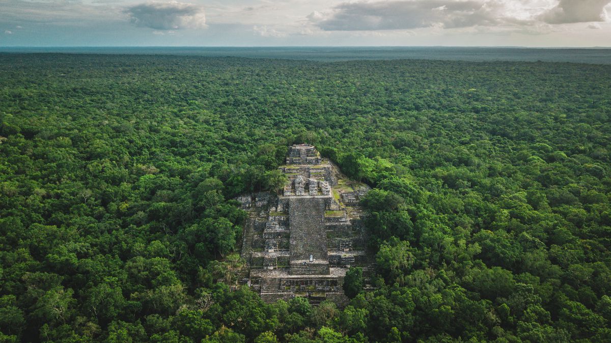Antigua estructura de piedra que se eleva sobre un denso bosque verde, posiblemente una ruina maya.