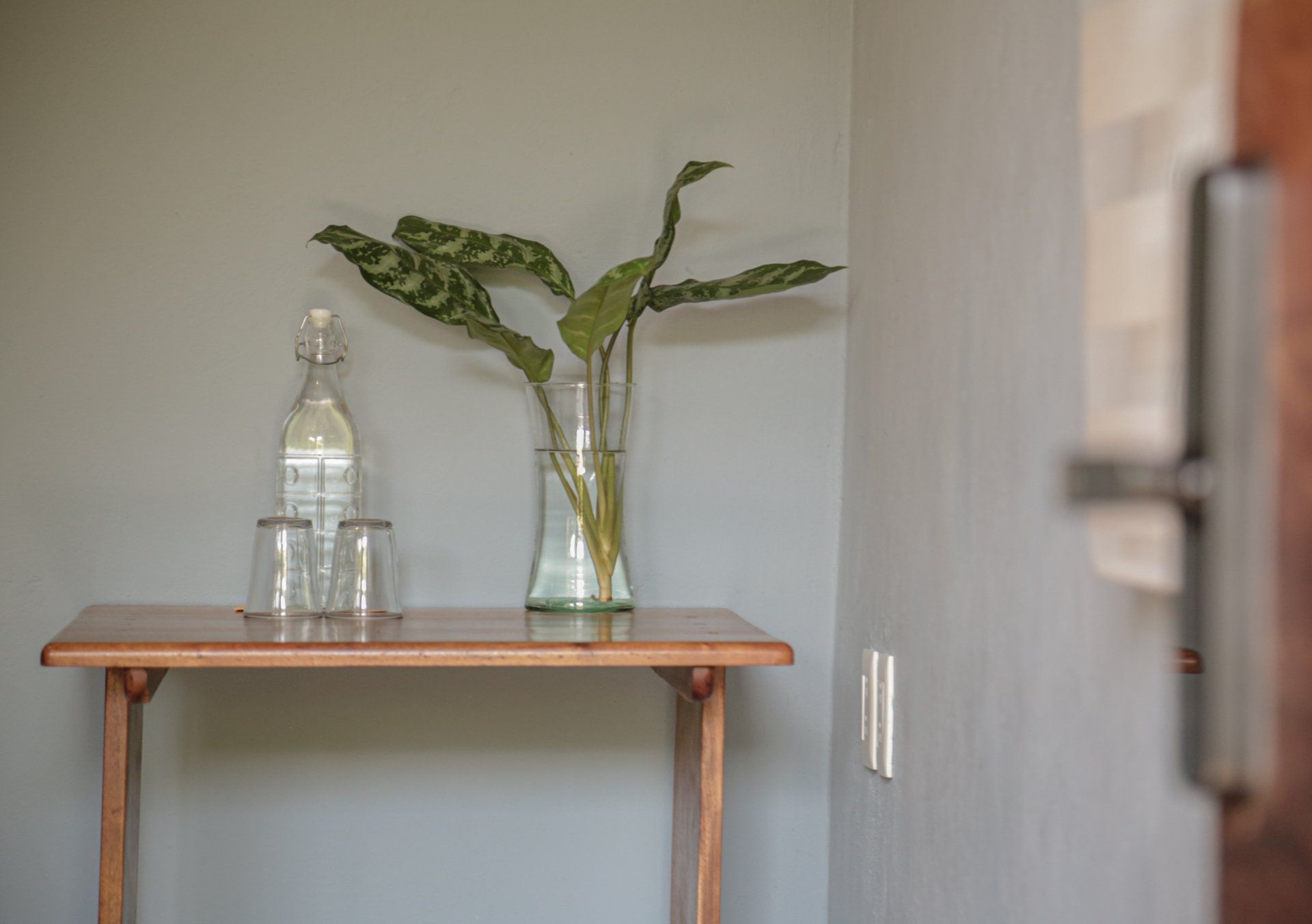Mesa de madera con una botella de vidrio, vasos y una planta en un jarrón contra una pared gris.