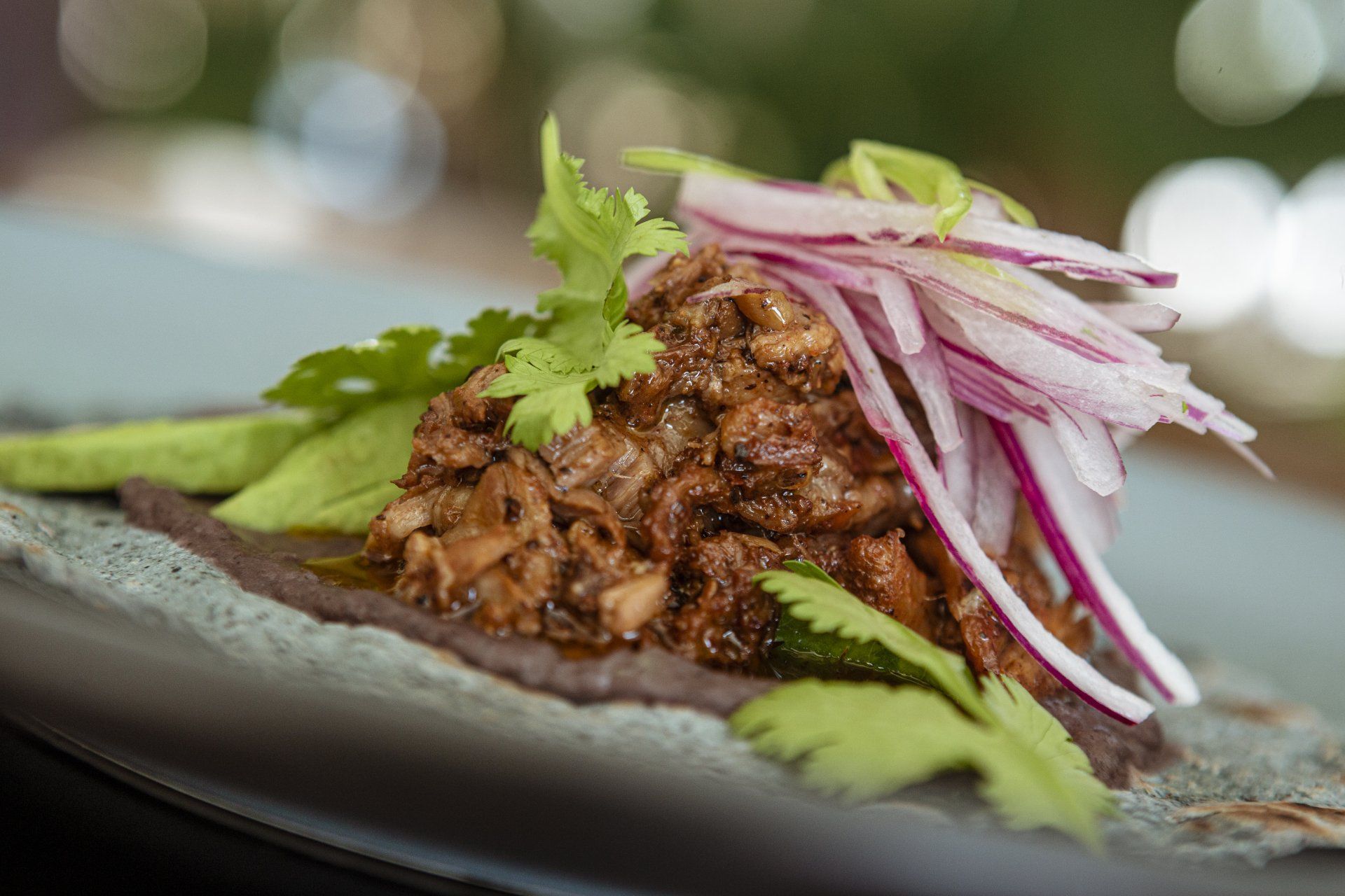 Taco con carne oscura, cebolla morada, cilantro y aguacate sobre tortilla gris.