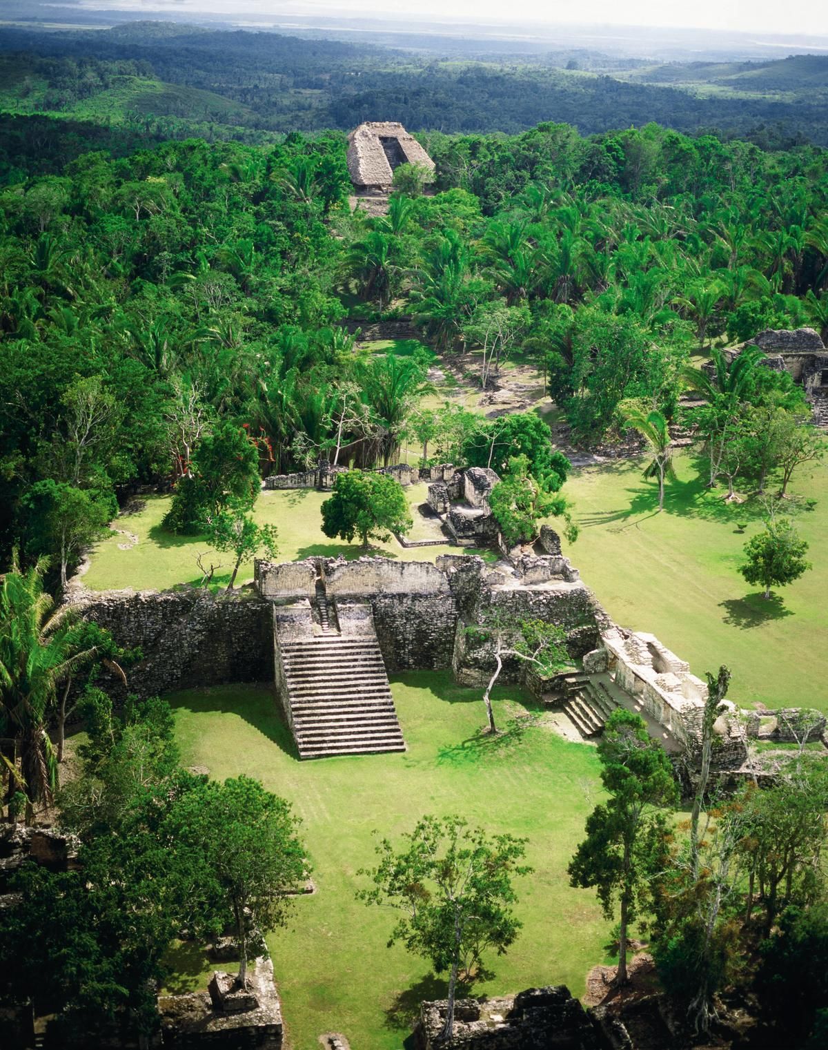 Vista aérea de antiguas ruinas mayas en una exuberante jungla verde; estructuras de piedra, escalones y senderos.