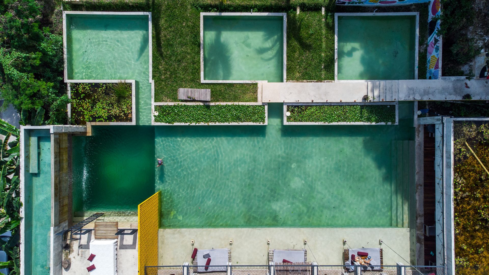 Vista aérea de un complejo de piscinas con varias piscinas rectangulares y vegetación circundante. Una persona nada en una piscina grande.