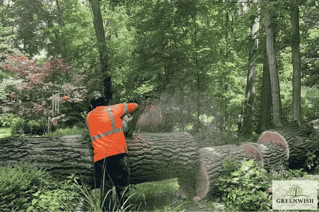 Person in an orange safety vest operating a chainsaw on a fallen tree in a wooded area.