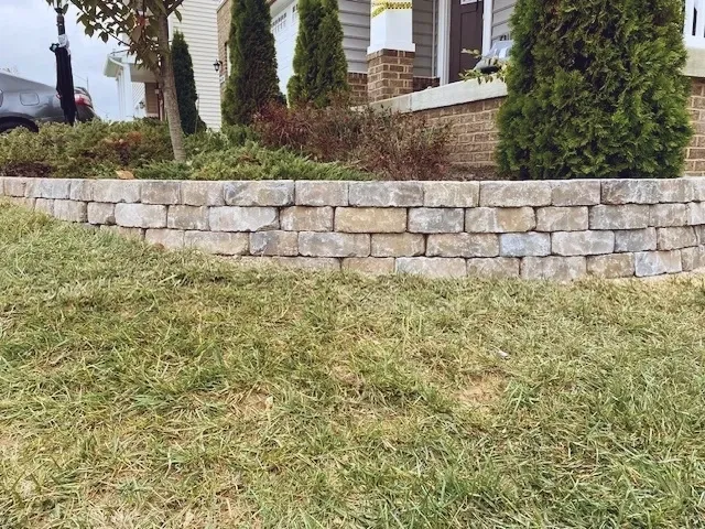 A tan, textured stone retaining wall curves in front of a landscaped garden bed with shrubs and small evergreen trees.