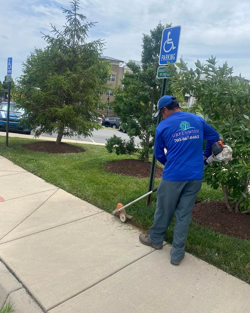 Worker trimming grass along a sidewalk beside a handicap parking sign.