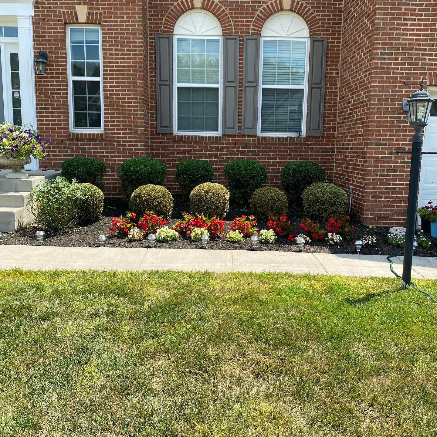 A brick house exterior with a manicured front garden featuring rounded bushes, small red flowers, and pathway lights.
