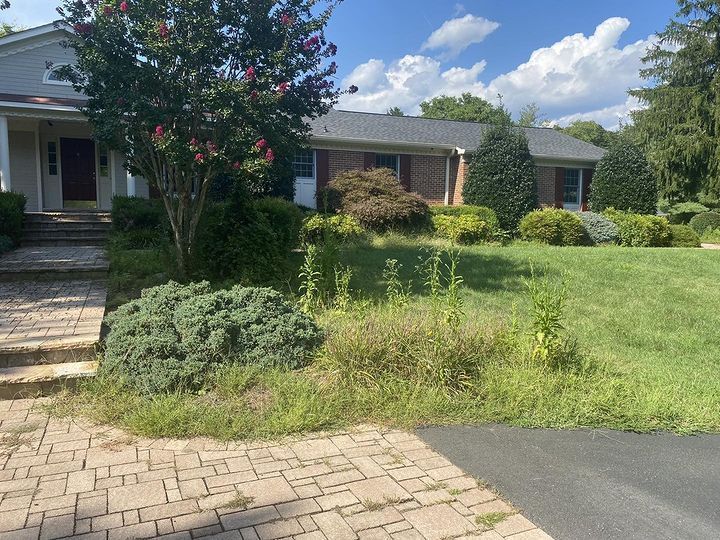 A stone walkway leads to a house with brick and siding, surrounded by a lawn, landscaping, and a flowering tree.