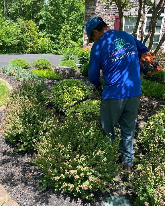 Person in a blue shirt pruning shrubs in a sunny garden with flowers and trees nearby
