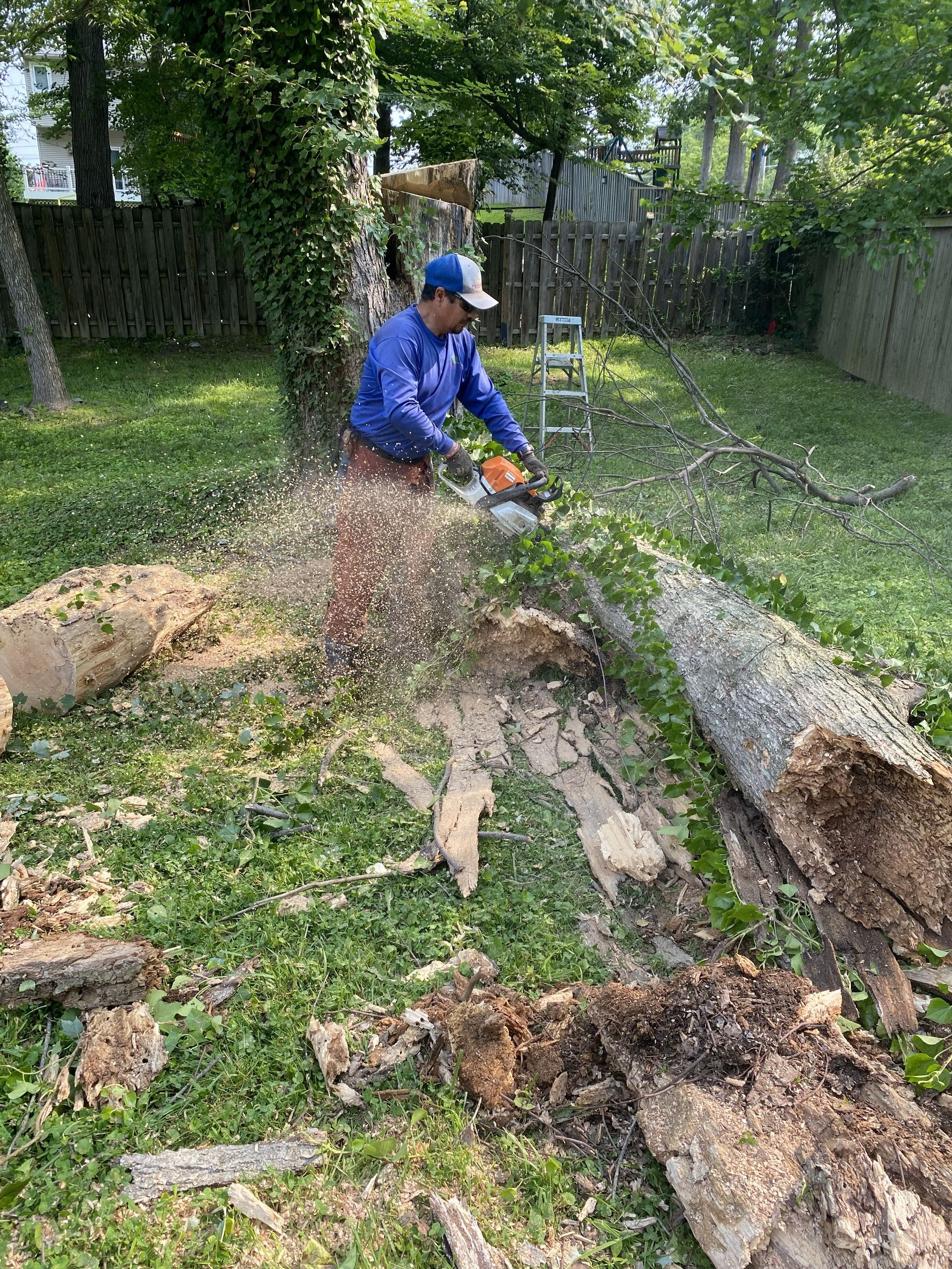 Person in a blue hoodie cutting fallen branches in a grassy backyard.