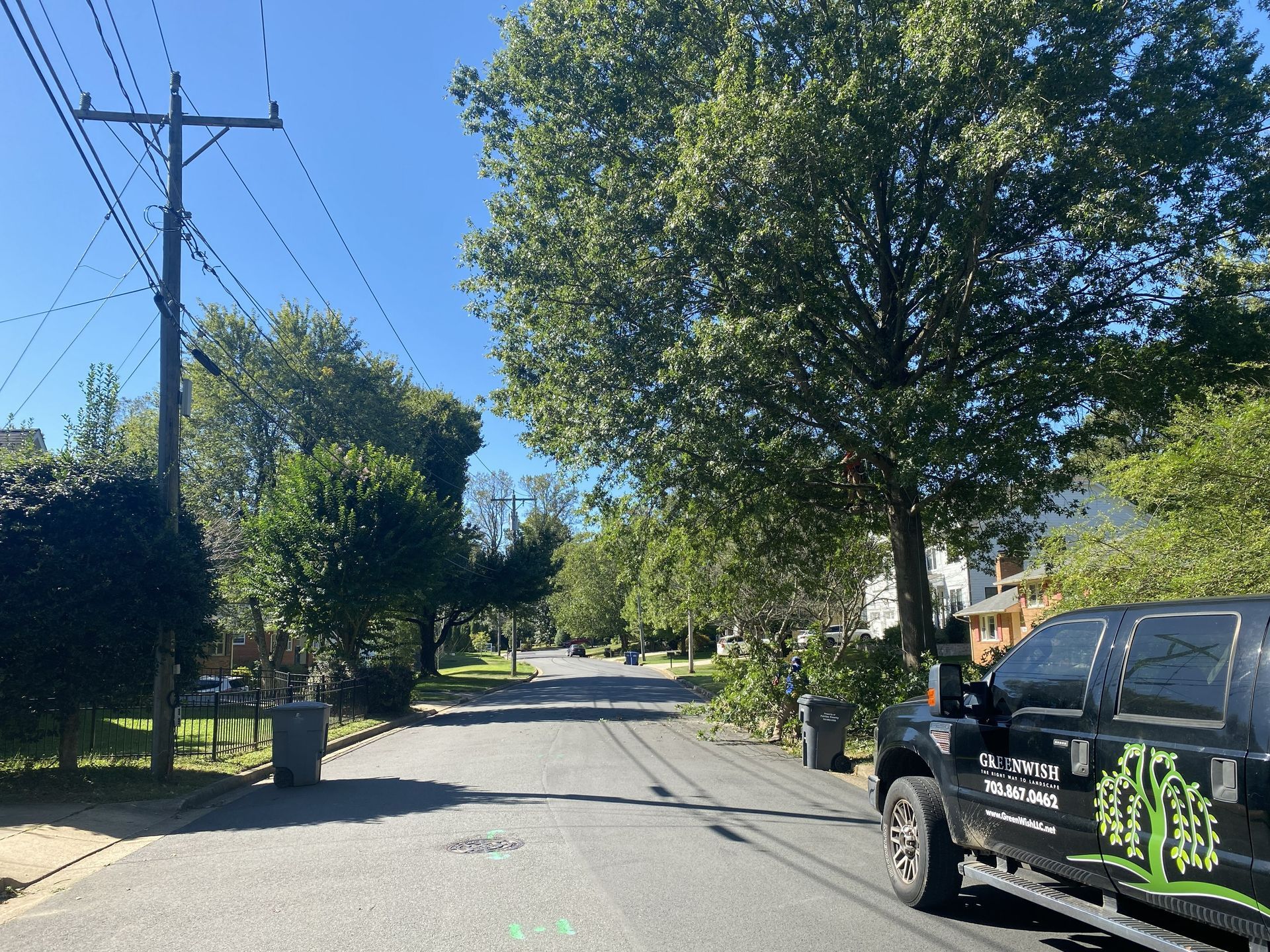 Quiet suburban street with trees, utility poles, and parked vehicles under a clear blue sky