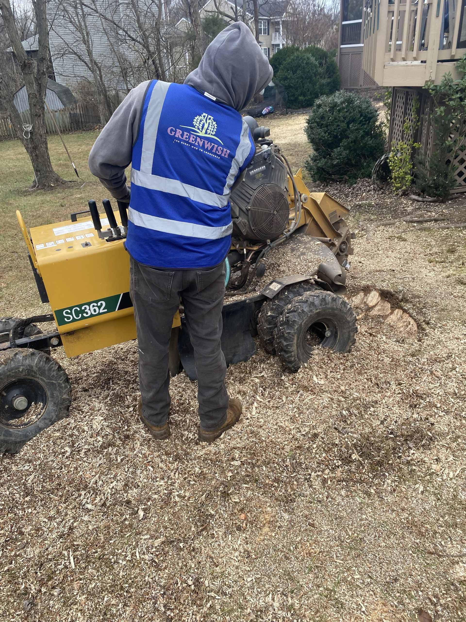 Worker in a blue vest operating a yellow wood chipper outdoors, with a large tree stump nearby.