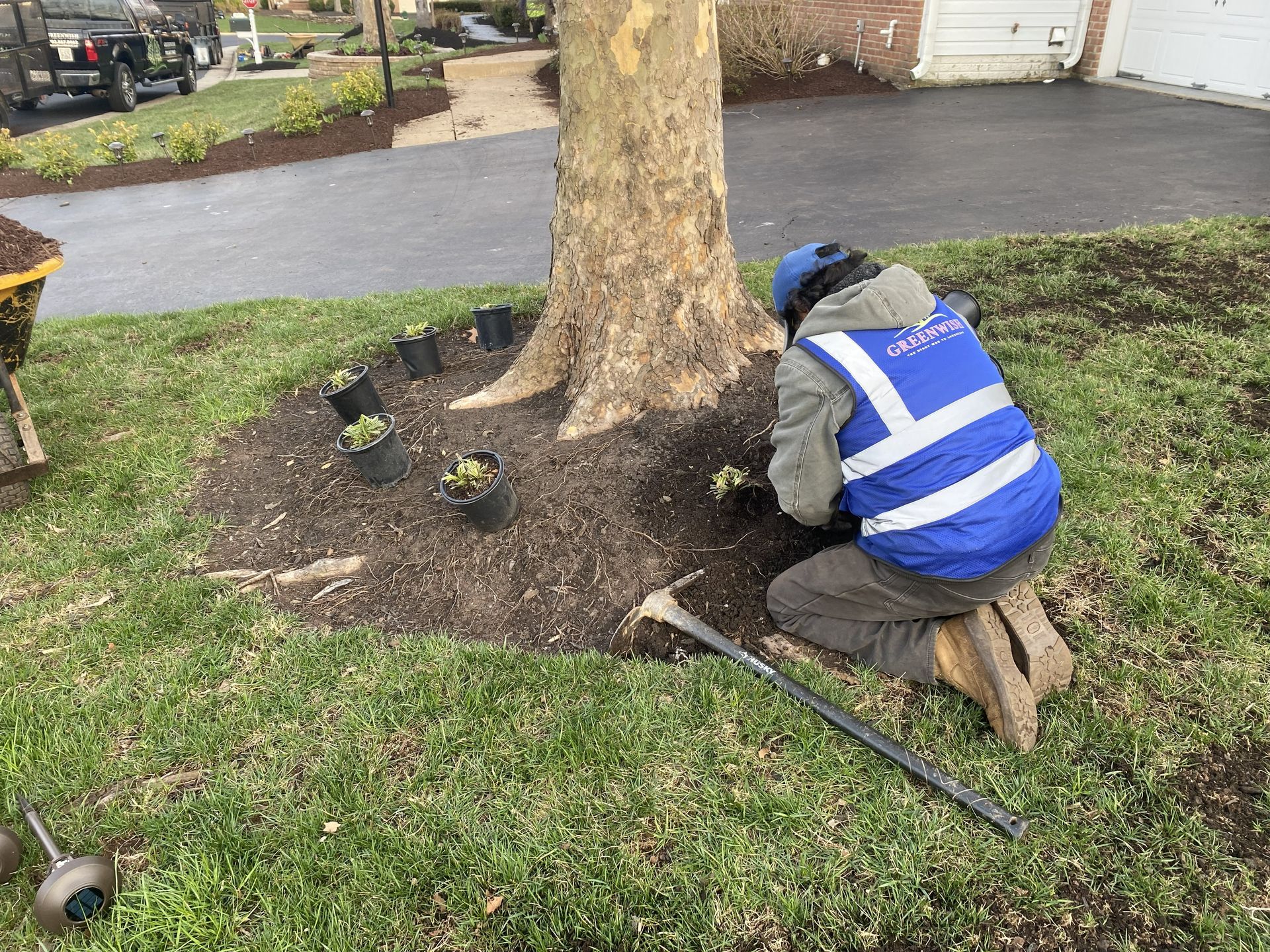 Worker kneeling by a tree, digging around its base with a shovel in a residential yard