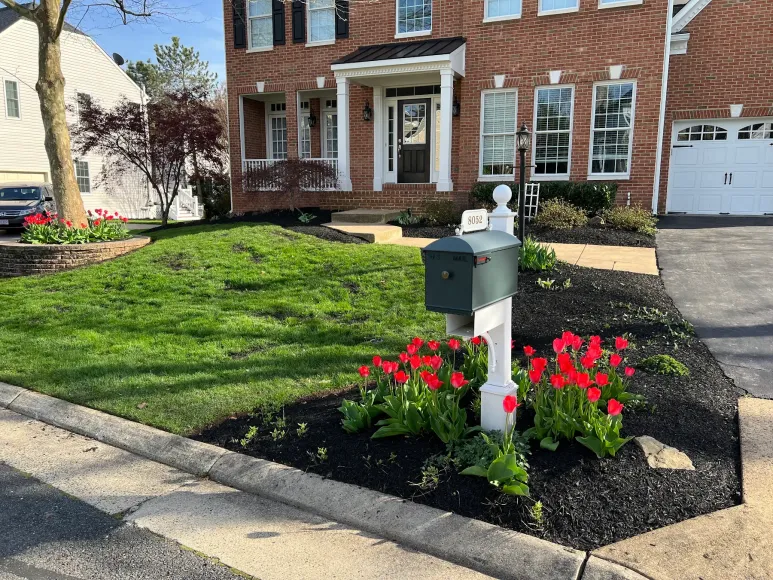 Suburban brick house with a mailbox, front lawn, and red tulips beside the driveway