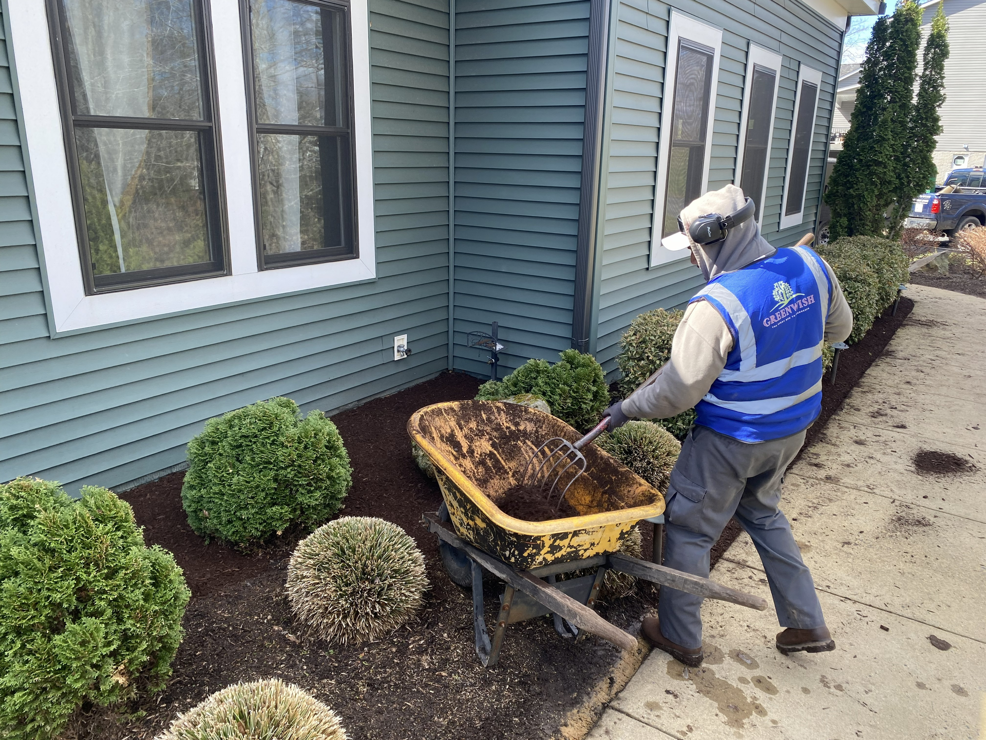 Worker in blue vest pushing a wheelbarrow of mulch beside a house and shrubs