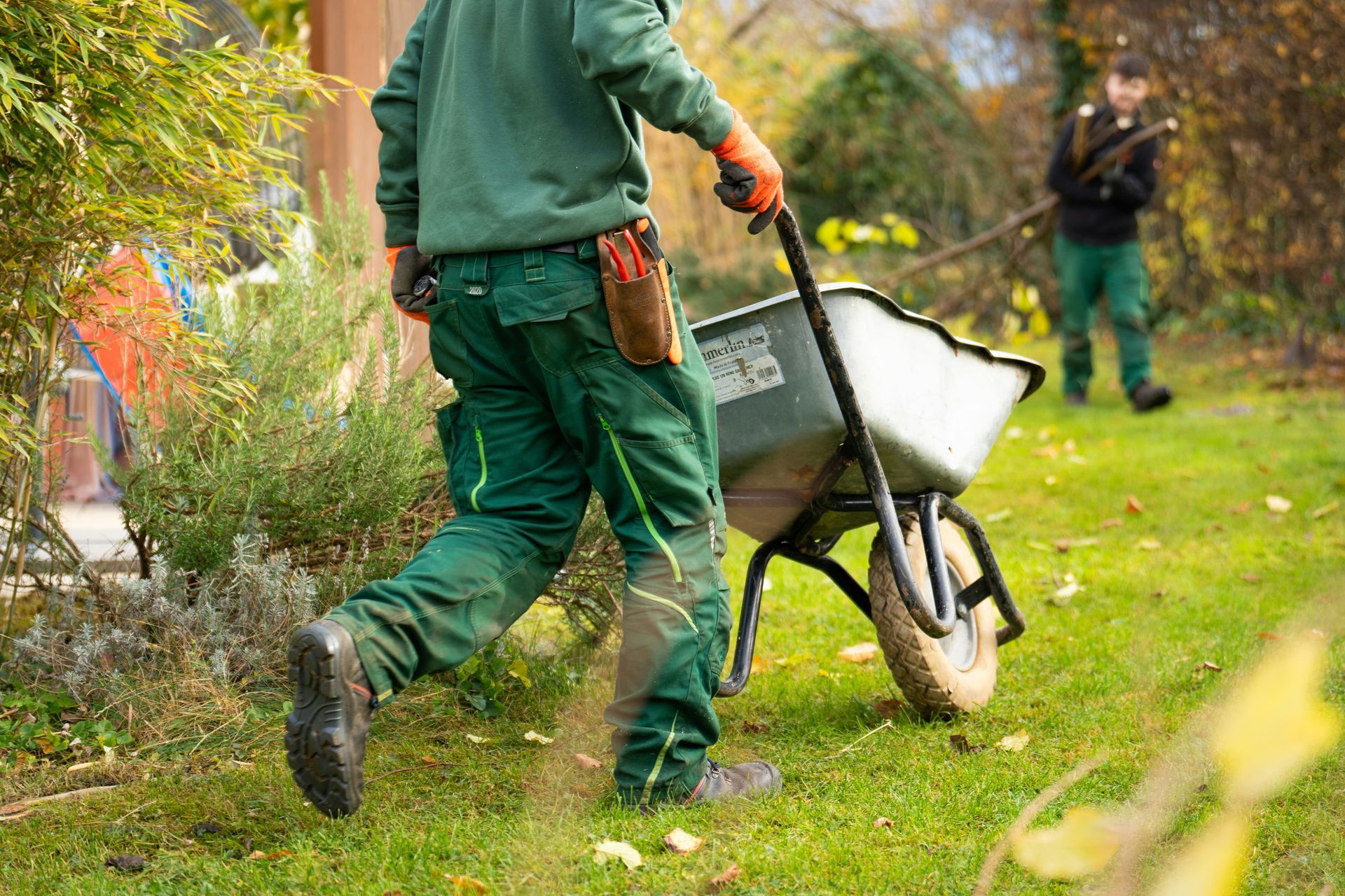 Gardener in green clothes pushing a wheelbarrow along a grassy garden path