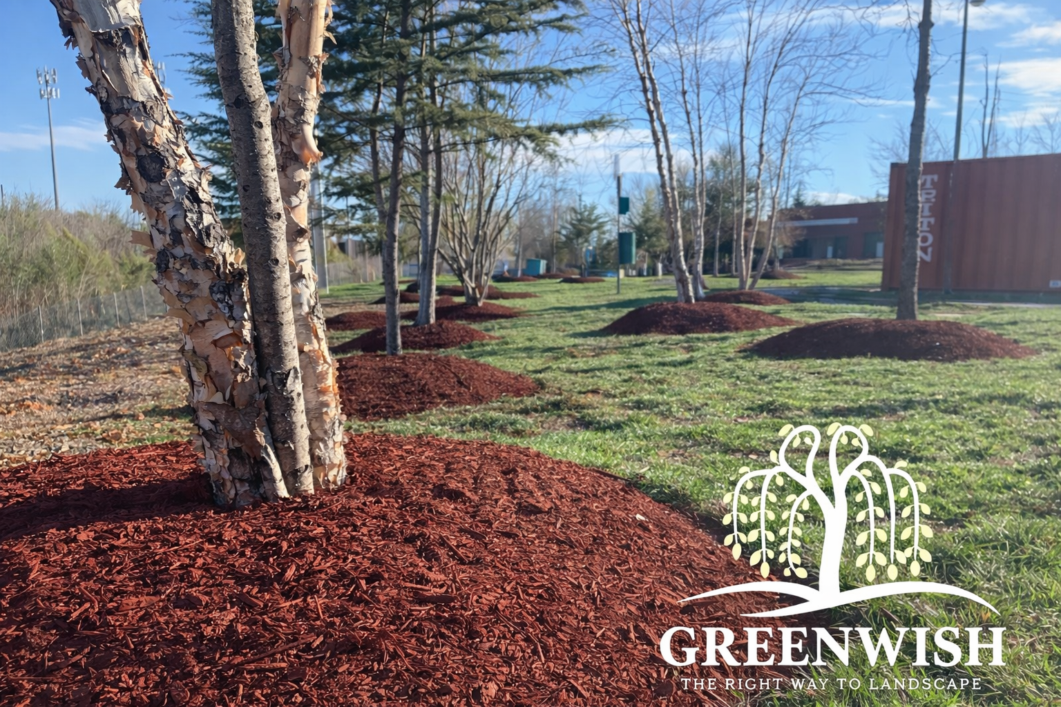 Fresh mulch installed around tree rings by GreenWish Landscape & Masonry at a commercial property in Northern Virginia.