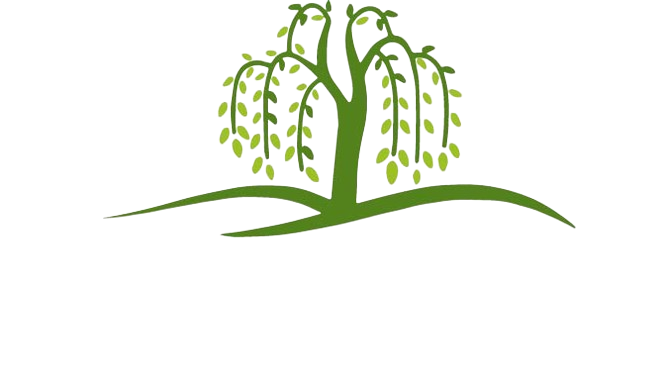 Logo for Greenwish featuring a stylized green willow tree above the purple text