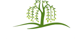 Logo for Greenwish featuring a stylized green willow tree above the purple text