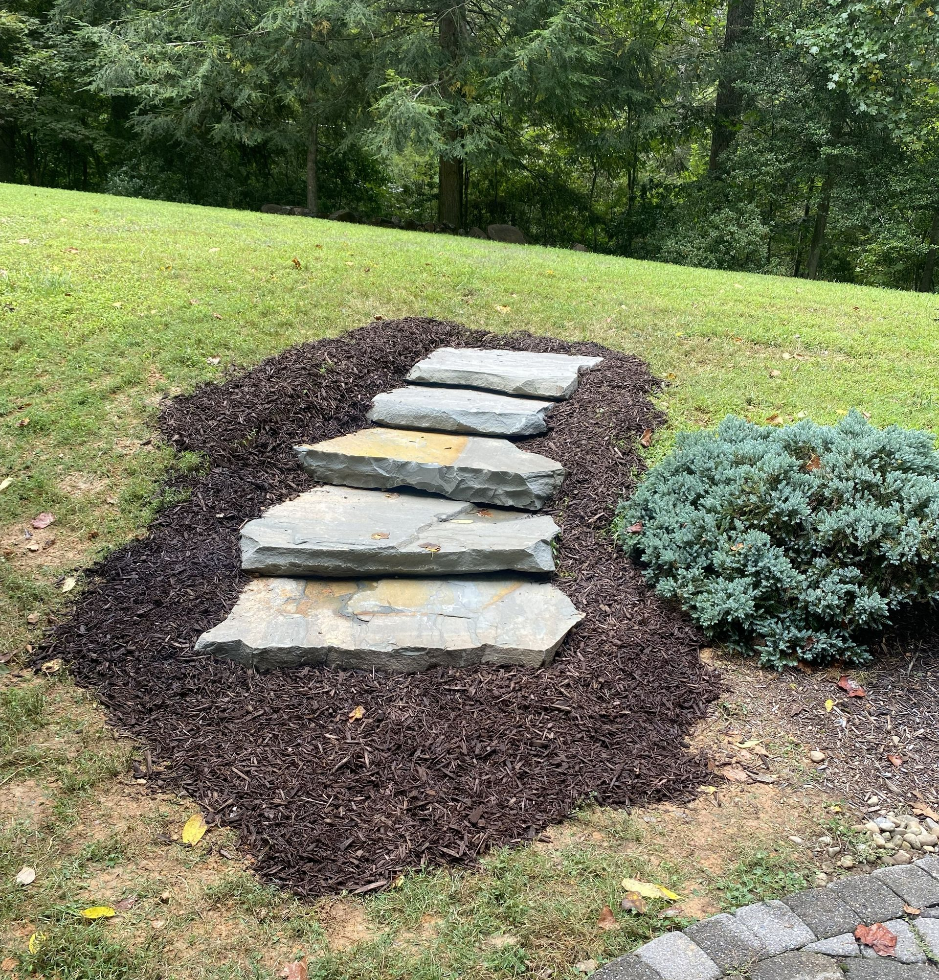Stepping stones bordered by dark mulch on a grassy slope beside a shrub and trees