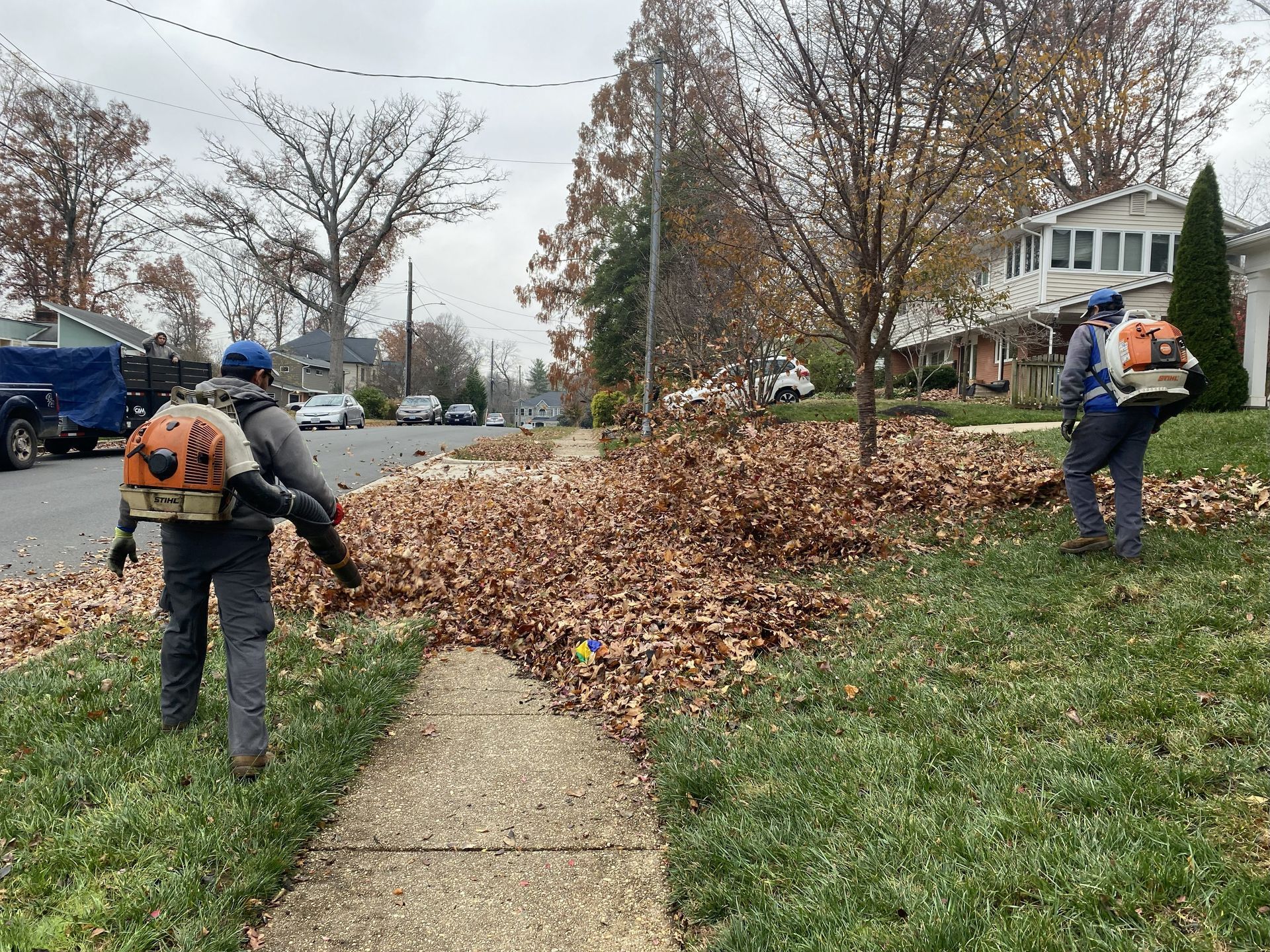 Two workers in safety gear use leaf blowers to clear fallen leaves from a suburban lawn and sidewalk on an overcast day.