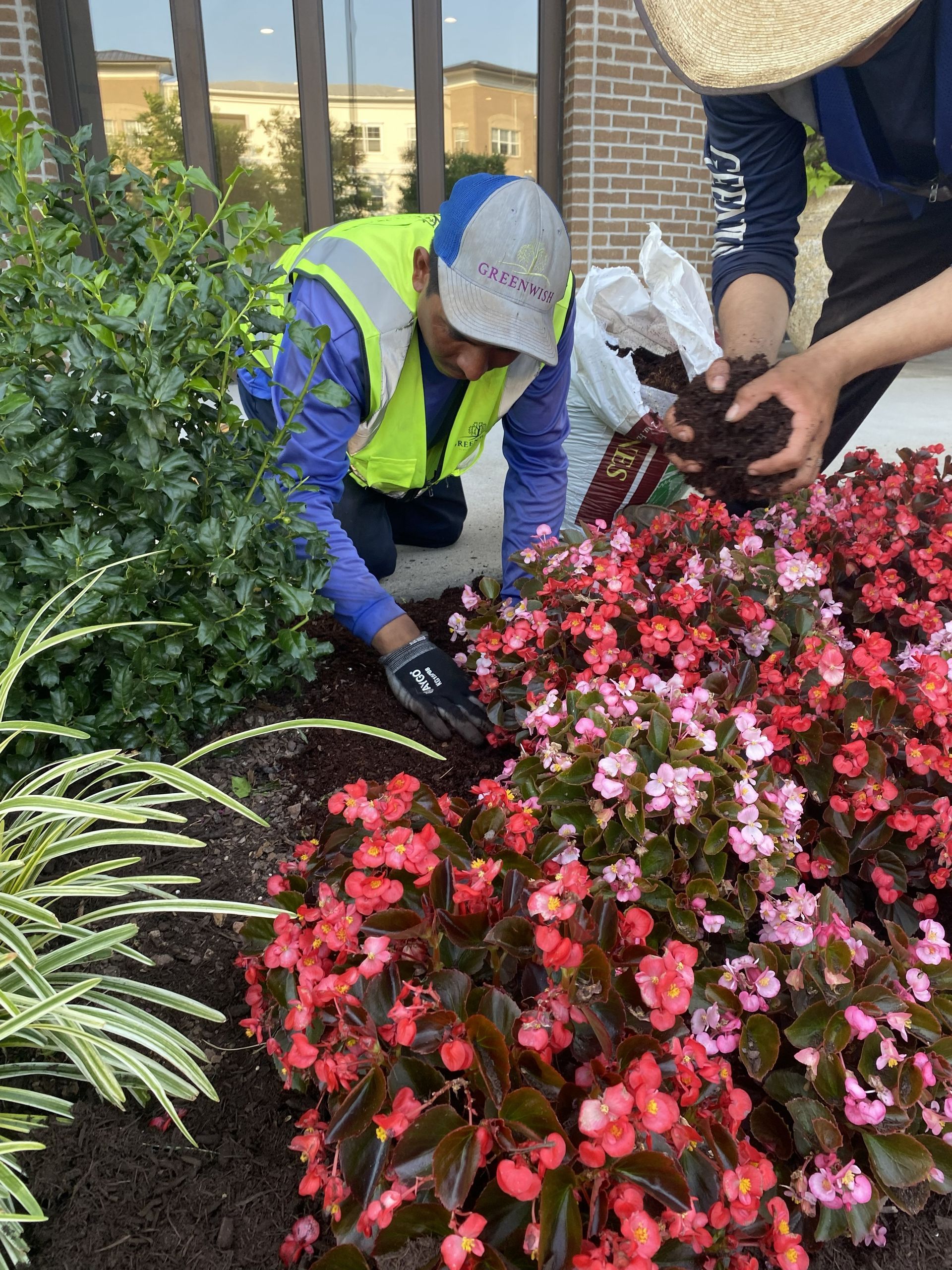 GreenWish Landscape & Masonry crew installing seasonal begonias at a commercial property in Northern Virginia.