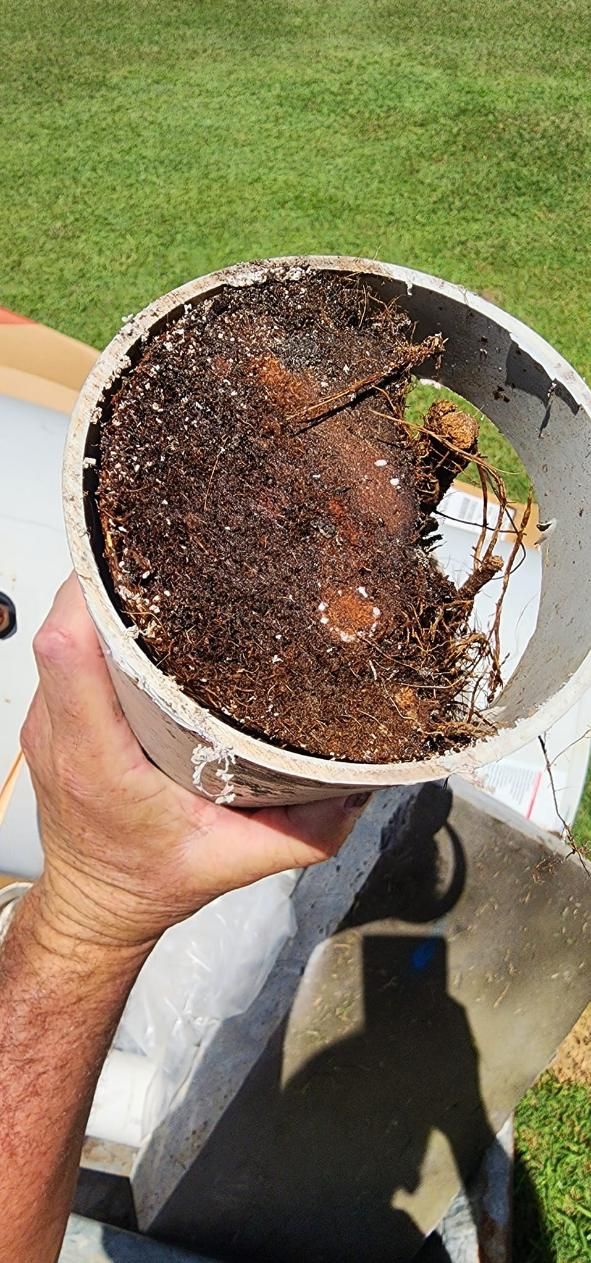 A Person is Holding a Dirty Pipe in Their Hand — Jet 'N' Drain Pty Ltd In Kawungan, QLD