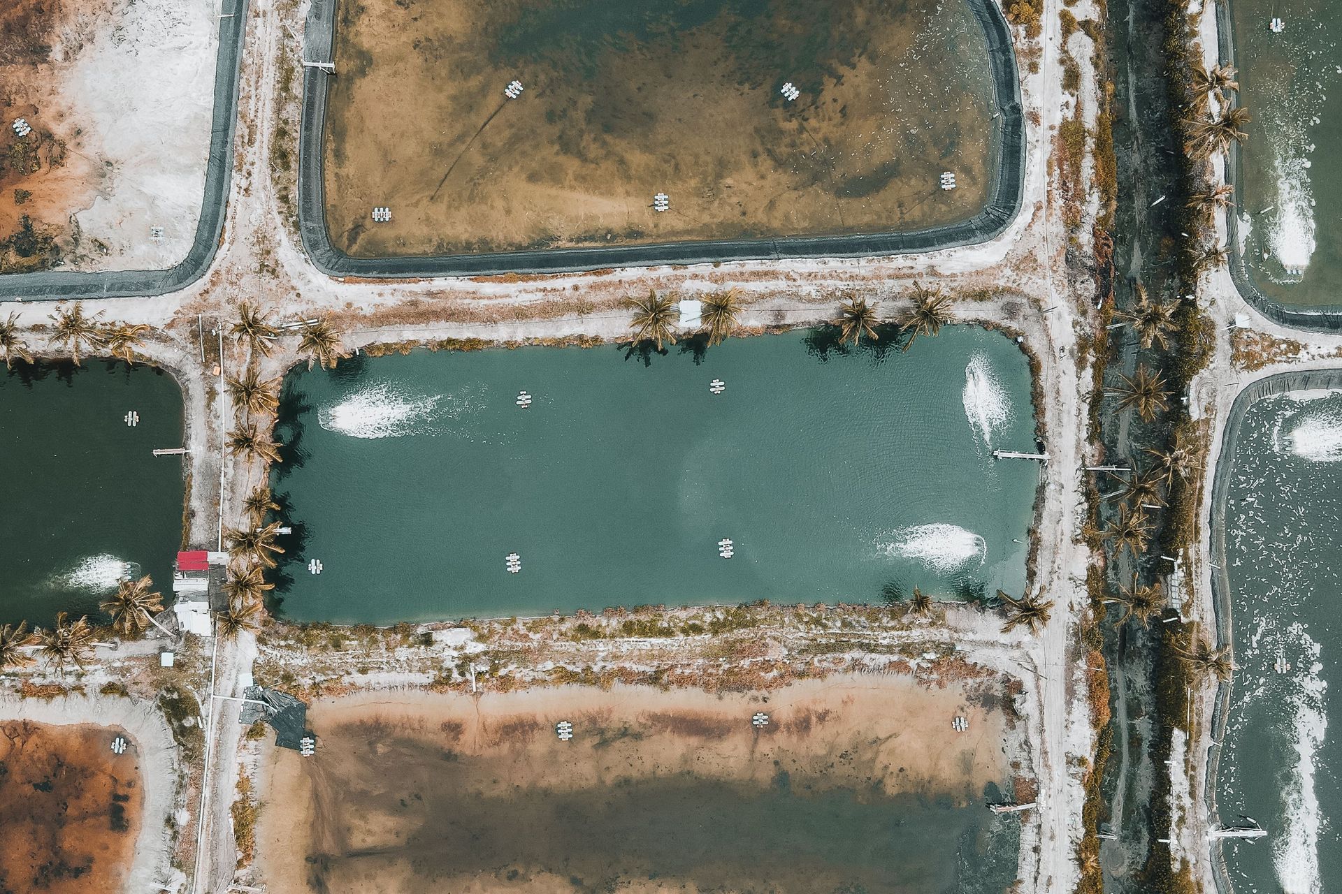 Aerial view of snowy roads around rectangular greenish ponds in a rural landscape