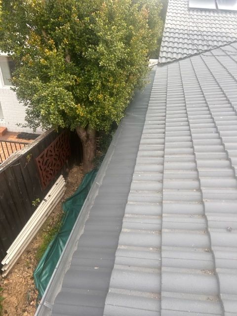 Rooftop with gray tiles and a gutter beside a tree and wooden fence.