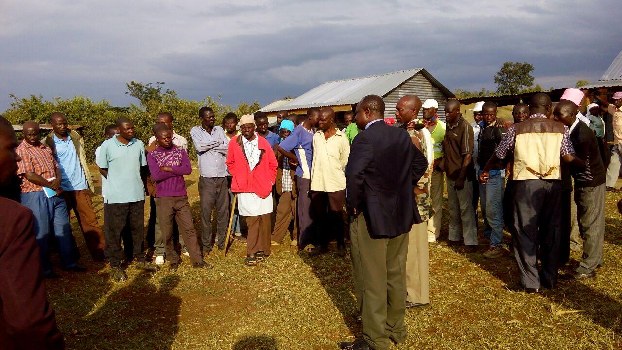 People gathered outdoors in a field, standing in a loose crowd under a cloudy sky.