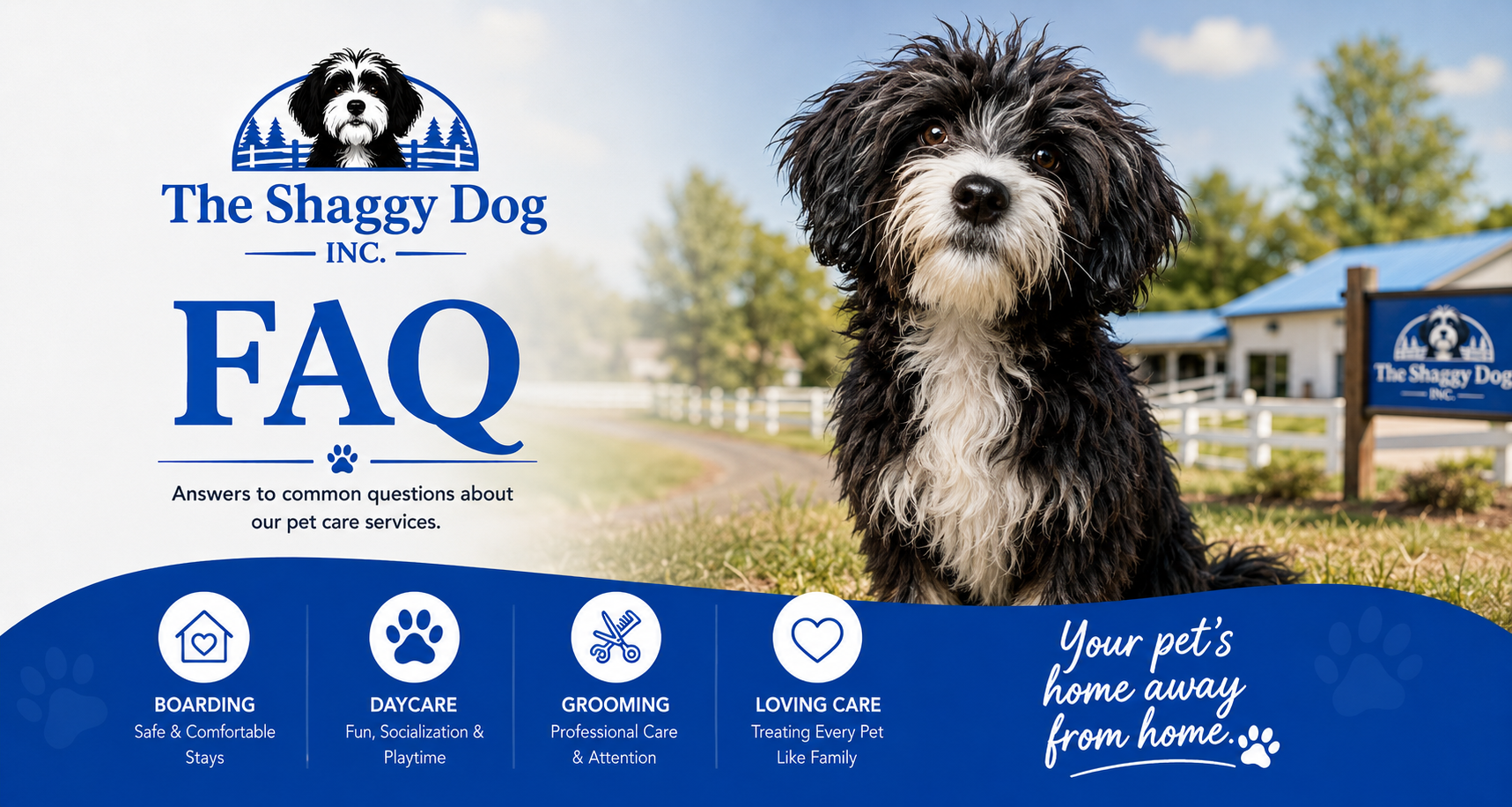 The Shaggy Dog FAQ graphic with a shaggy black-and-white dog and blue service icons on a blurred outdoor background The Shaggy Dog FAQ graphic with a shaggy black-and-white dog and blue service icons on a blurred outdoor background