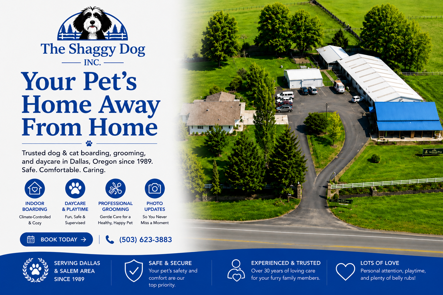 Aerial view of The Shaggy Dog pet boarding facility with blue-roofed buildings and lawn, beside promo text. Aerial view of The Shaggy Dog pet boarding facility with blue-roofed buildings and lawn, beside promo text.