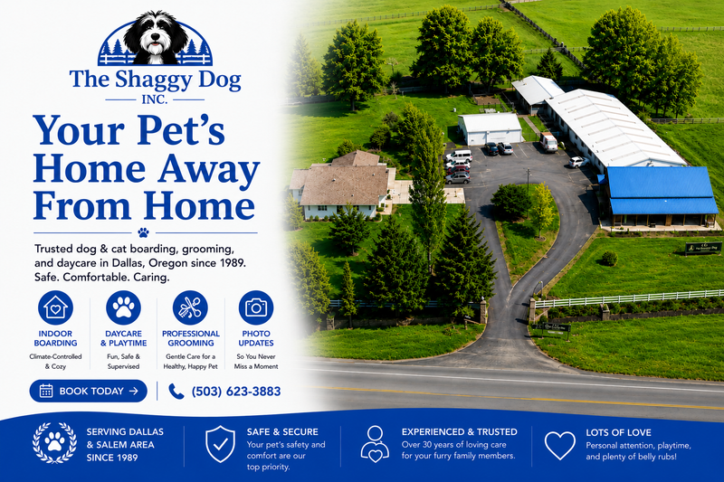Aerial view of The Shaggy Dog pet boarding facility with blue-roofed buildings and lawn, beside promo text. Aerial view of The Shaggy Dog pet boarding facility with blue-roofed buildings and lawn, beside promo text.