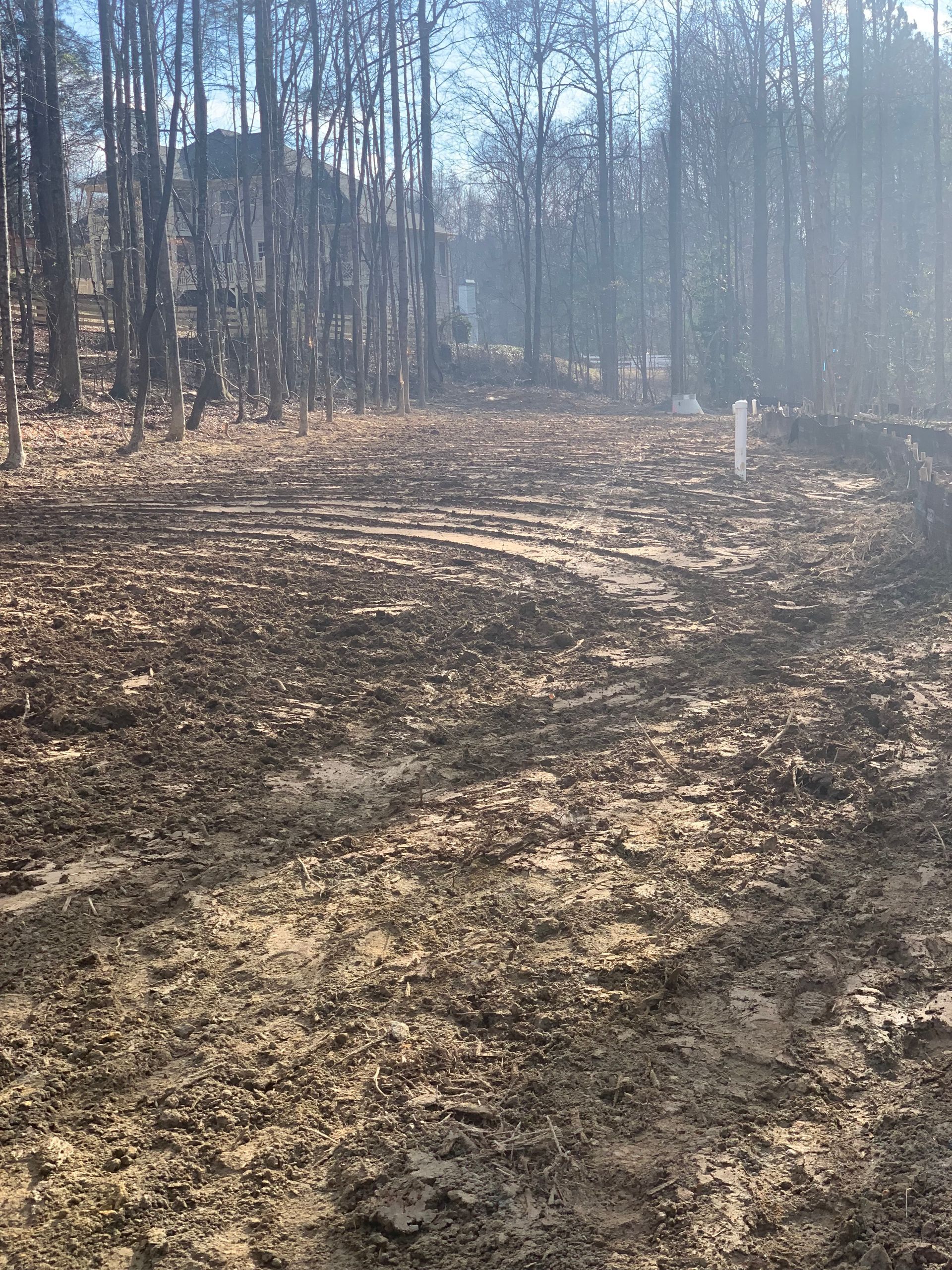 a dirt road in the middle of a forest with trees in the background .