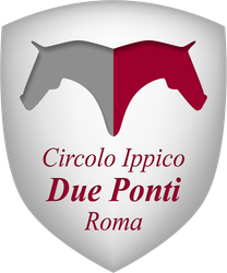 Circolo Ippico Due Ponti logo