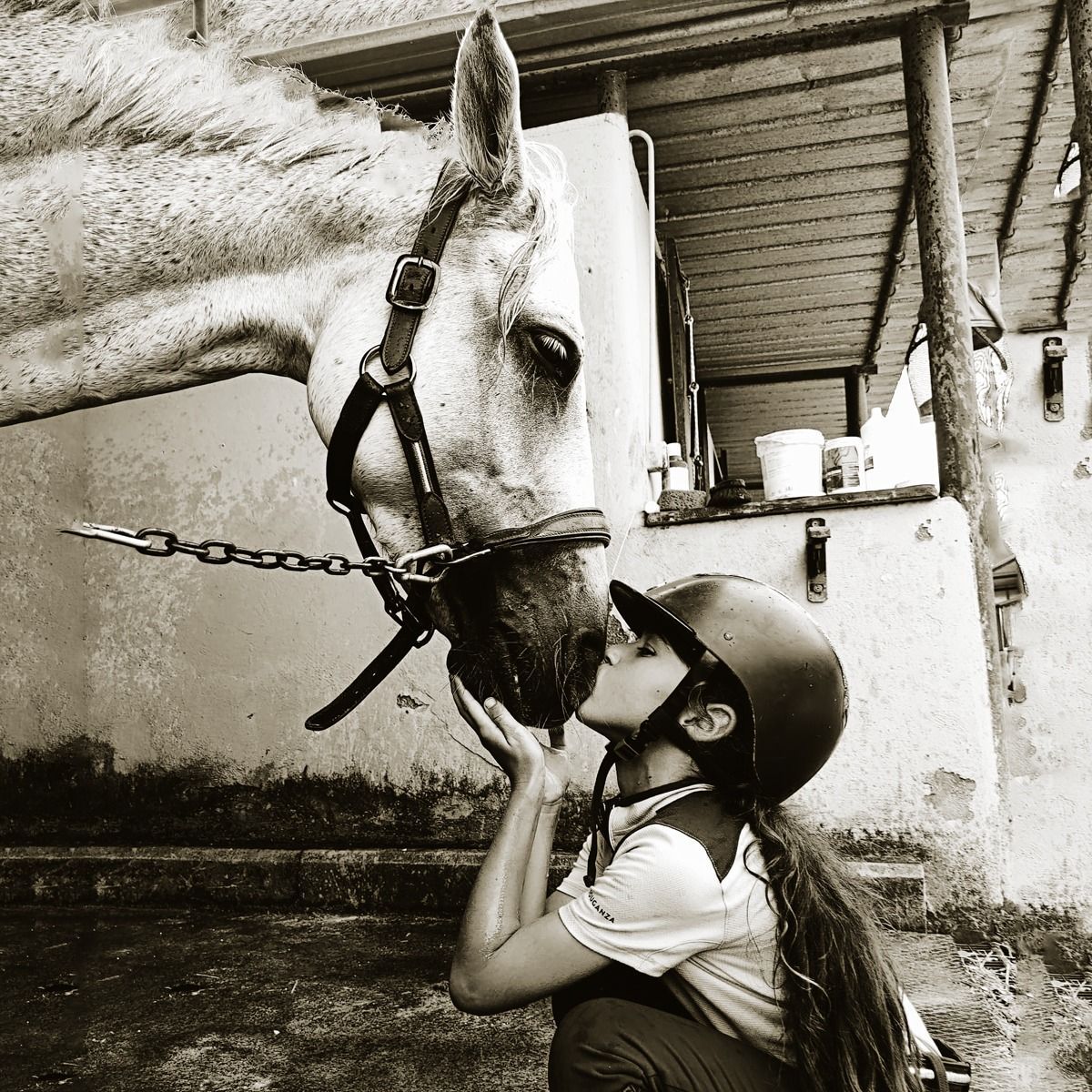 scuola pony