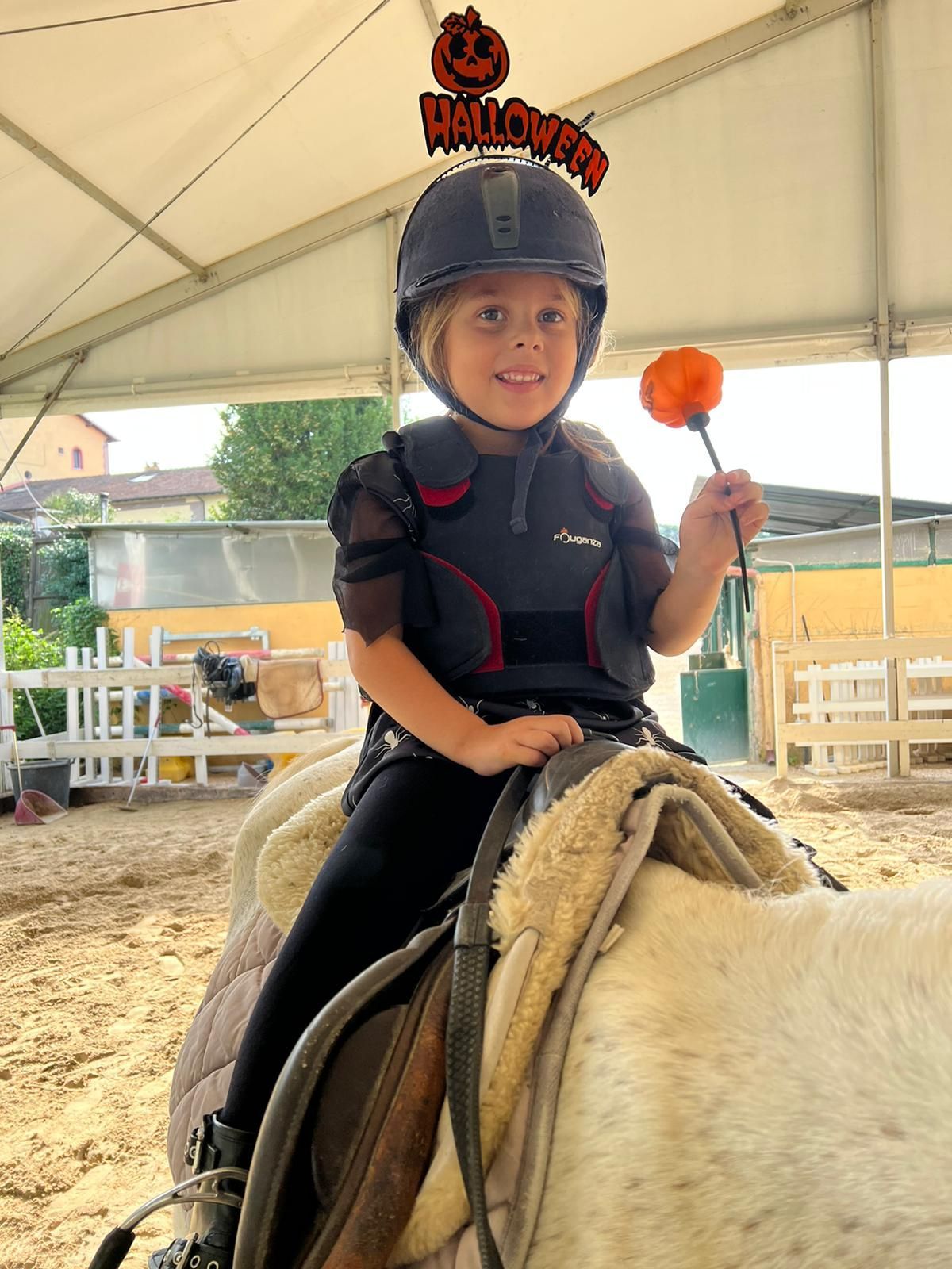 pony day