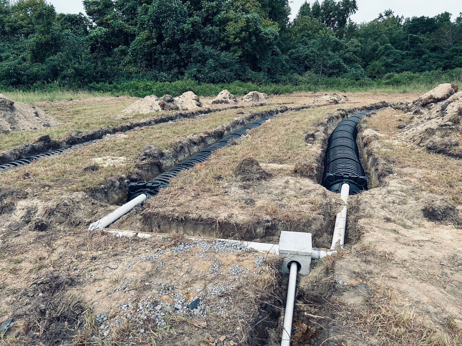 Trenches with black plastic irrigation pipes in a dry field, with trees in the background